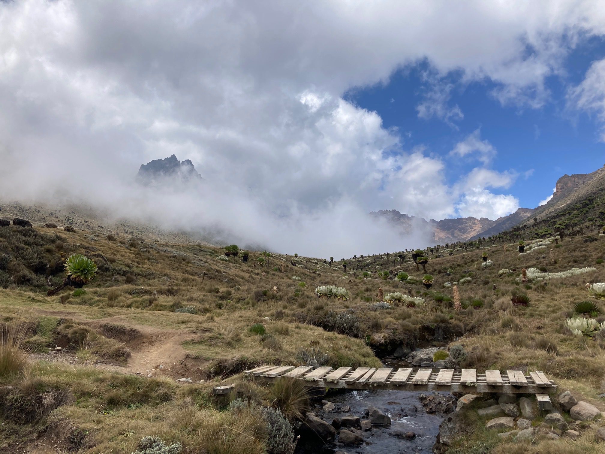 bridge at Mount Kenya
