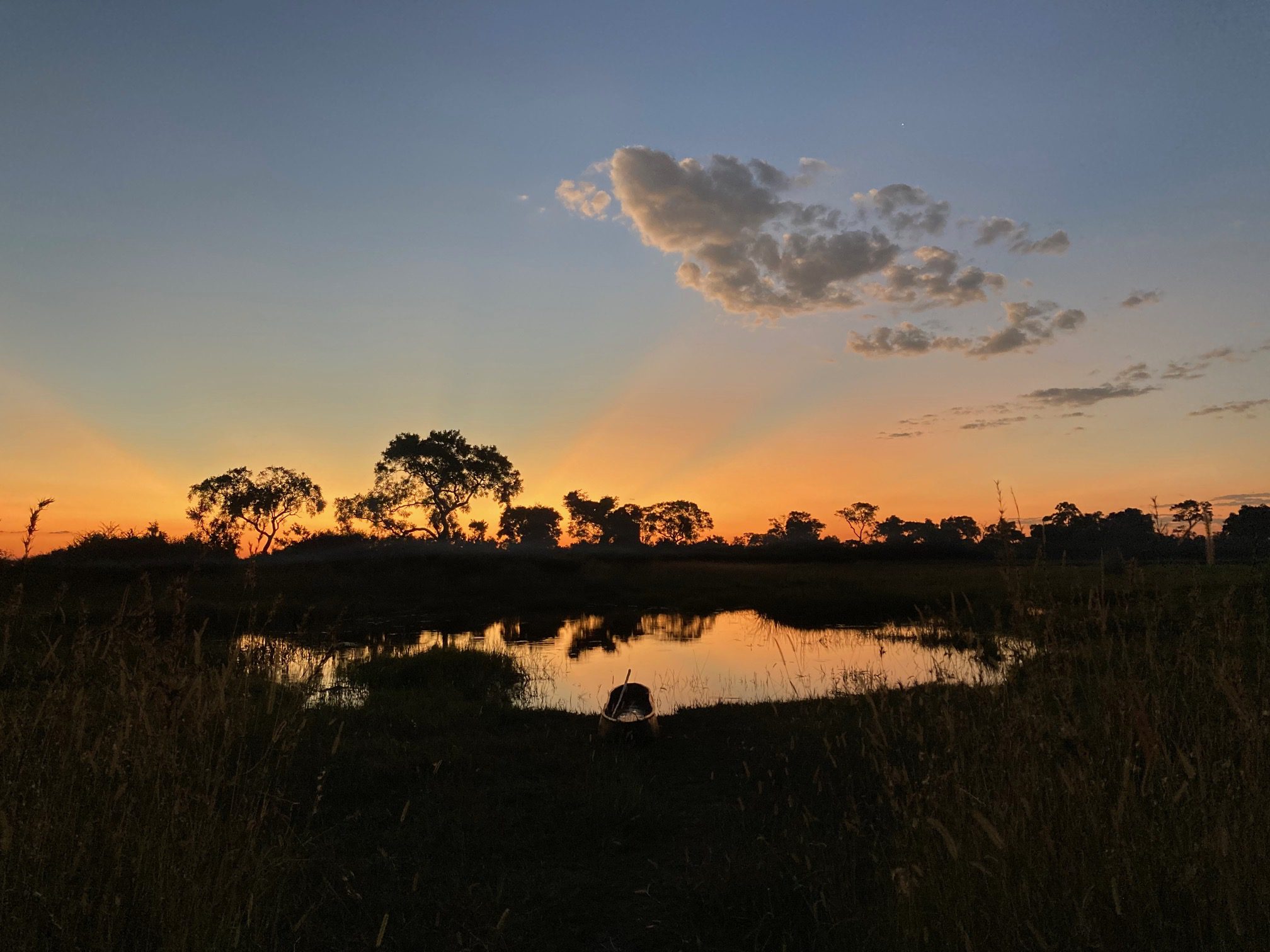 sunset in the Okavango Delta